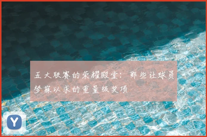 五大联赛的荣耀殿堂：那些让球员梦寐以求的重量级奖项