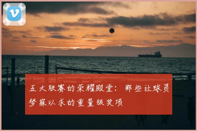 五大联赛的荣耀殿堂：那些让球员梦寐以求的重量级奖项