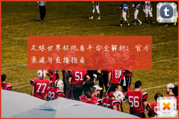 足球世界杯观看平台全解析：官方渠道与直播指南